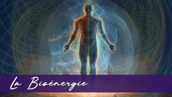 Bioénergie